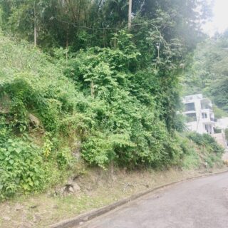 Land for Sale – The Orchard, Moka, Maraval