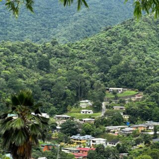 LAND FOR SALE IN MARAVAL – HILLSBOROUGH