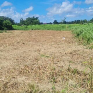 Freeport Land For Sale 10,000 sq. ft