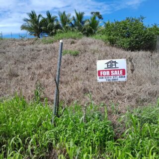 Land for Sale – Las Lomas #3 Investment Opportunity $650,000