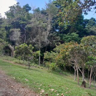 Land for Sale- Rincon Development Las Cuevas $1,600,000.00