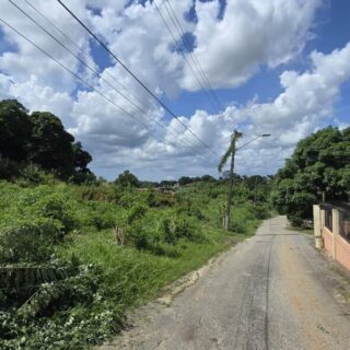 Claxton Bay Approved Subdivision for Sale