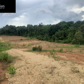 Approved land for SALE at Ravine Sable Road, Longdenville, Chaguanas