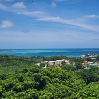 Sugar Mill Drive, Tobago