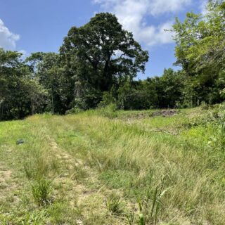 Prime Tobago Black Rock Land