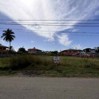 For Sale: Prime Parcel of Land in Tobago!