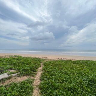 Beach Front Land For Sale