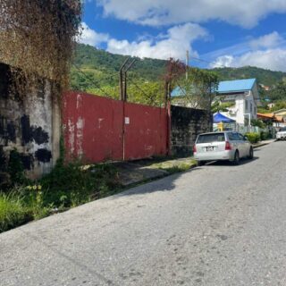 LAND FOR SALE: GOPAUL AVENUE DIEGO MARTIN