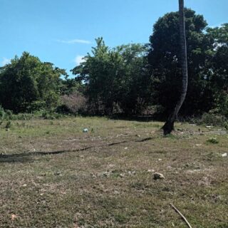 FOR SALE: Land – Courland Bush Trace, Black Rock, Tobago