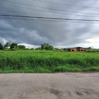 Land For Sale Charlieville! 10,000 sqft and above plots $1,100,000