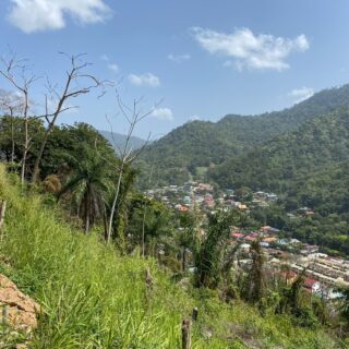 LAND FOR SALE: $1.25M -MARACAS GARDENS