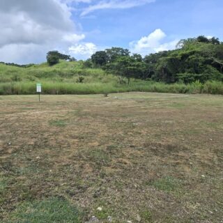 Freeport Large Plots for Sale