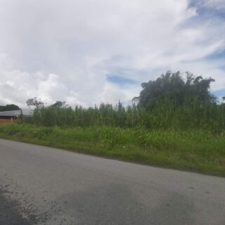 Residential land, Arena Road, Freeport