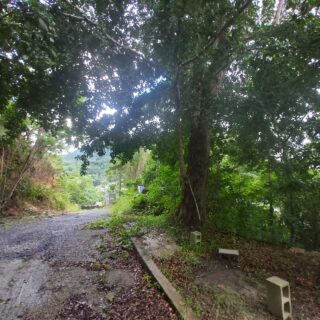 Acono Road, Maracas Valley, St Joseph