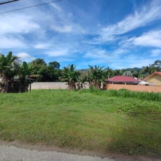 Prime 10,000 sq ft Lot for Sale in Gated La Pastora Gardens!