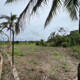 🌳 NEW LAND DEVELOPMENT🌳  2 AVAILABLE LOTS FOR SALE: 🌴 Lot #5 – 7,100 Sq Ft 🌴 Lot #6 – 8,300 Sq Ft 🌴 Lots #7 – #25 pending infrastructural development (Stay tuned for progress updates)  Location: BRAZIL VILLAGE, BRAZIL📍