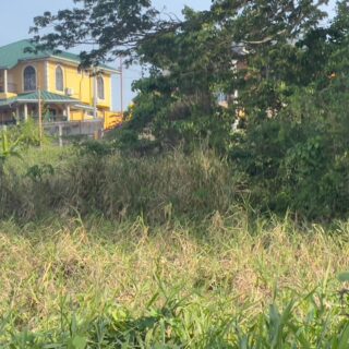 Freehold Land For Sale, La Romain $1,300,000