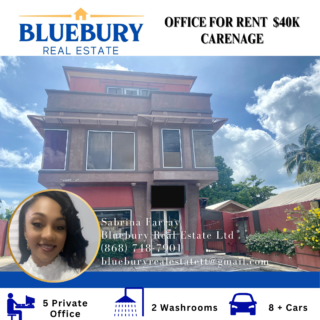 Commercial Office In Carenage For Rent $40,000