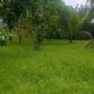 COUVA ESTATE 1.75 ACRES