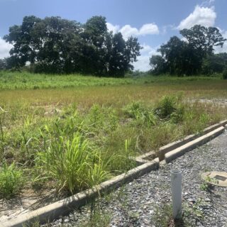 Land for SALE in a developed area in Longdenville, Chaguanas