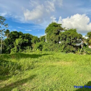 Land for sale – St. Helena