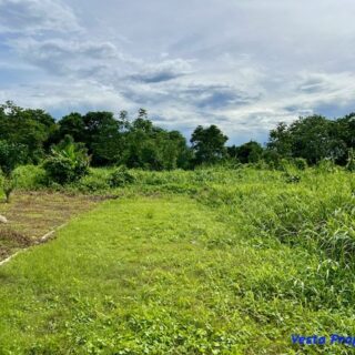 2 Parcels of Land – Piarco