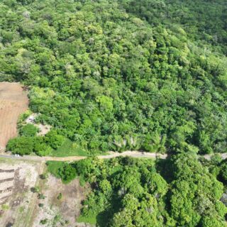 5 Acres Agriculture Land for Sale | Manzanilla