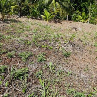 Land For Sale-Freehold Land-Access to Lights, Road & Water-Development Opportunity-Biche,