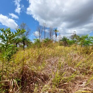 Tacarigua Land for Sale