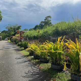 1.4-acre estate for sale at Maracas Valley