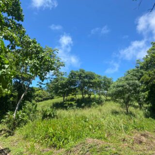 Toco Land for Sale