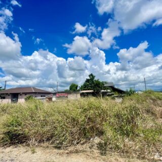 RESIDENTIAL LOTS, JERNINGHAM JUNCTION, CUNUPIA