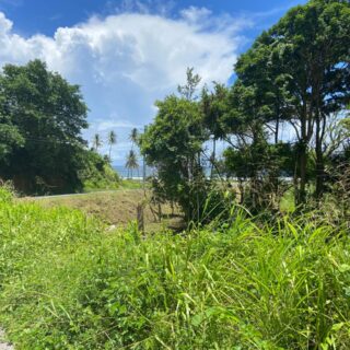 Tobago Sea Side Land for Sale