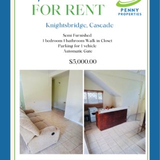 FOR RENT – KNIGHTSBRIDGE, CASCADE 1 BEDROOM SEMI FURNISHED