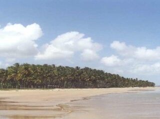 Mayaro 28-Acre Beachfront Property