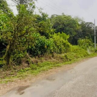 CUCHE, Rio Claro-5-Acre Property