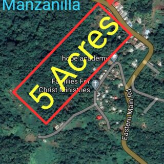 Manzanilla 5-Acre Property – Prime Location Along Main Road