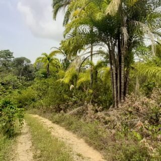 Tabaquite 1-Acre Homestead