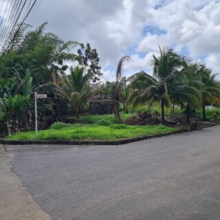 LAND FOR SALE – LOTUS GARDENS, SANGRE GRANDE