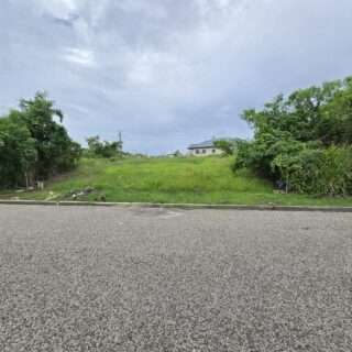 🏡FULLY APPROVED LAND FOR SALE LA ROMAIN RESIDENTIAL SAN FERNANDO🏡