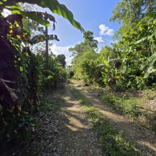 San Antonio Estate Road, Gran Couva