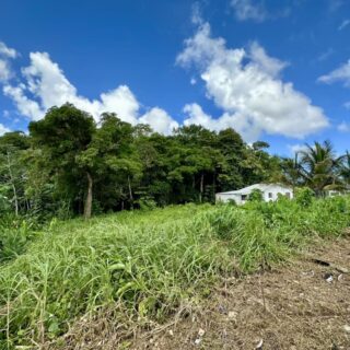 Sangre Grande Land FOR SALE