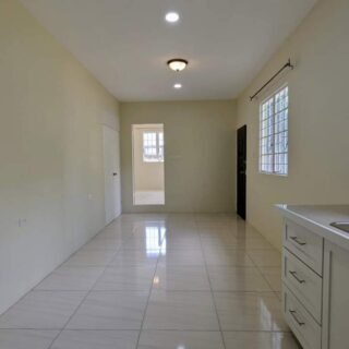 Central 1 Bedroom Apartment FOR RENT