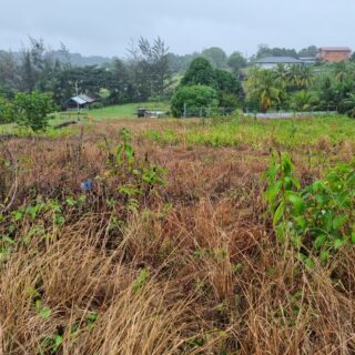 Land For Sale – Princes Town (7308 sq. ft.)