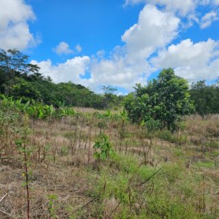 5 Acres Agricultural Land, Penal Rock Road, Penal  $750,000.00