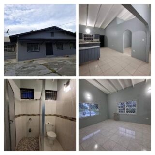 Newly Refurbished Apartment A for rent in Concordia, Tobago