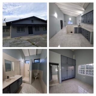 Newly Refurbished Apartment B for rent in Concordia, Tobago