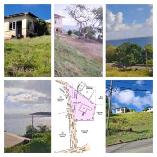 ♦NEW TO MARKET♦ PROPERTY FOR SALE –  Mt. St. George, TOBAGO