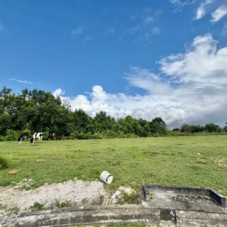 RESIDENTIAL LOT, EGYPT TR, CHAGUANAS