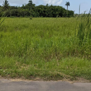 Land For Sale In Penal